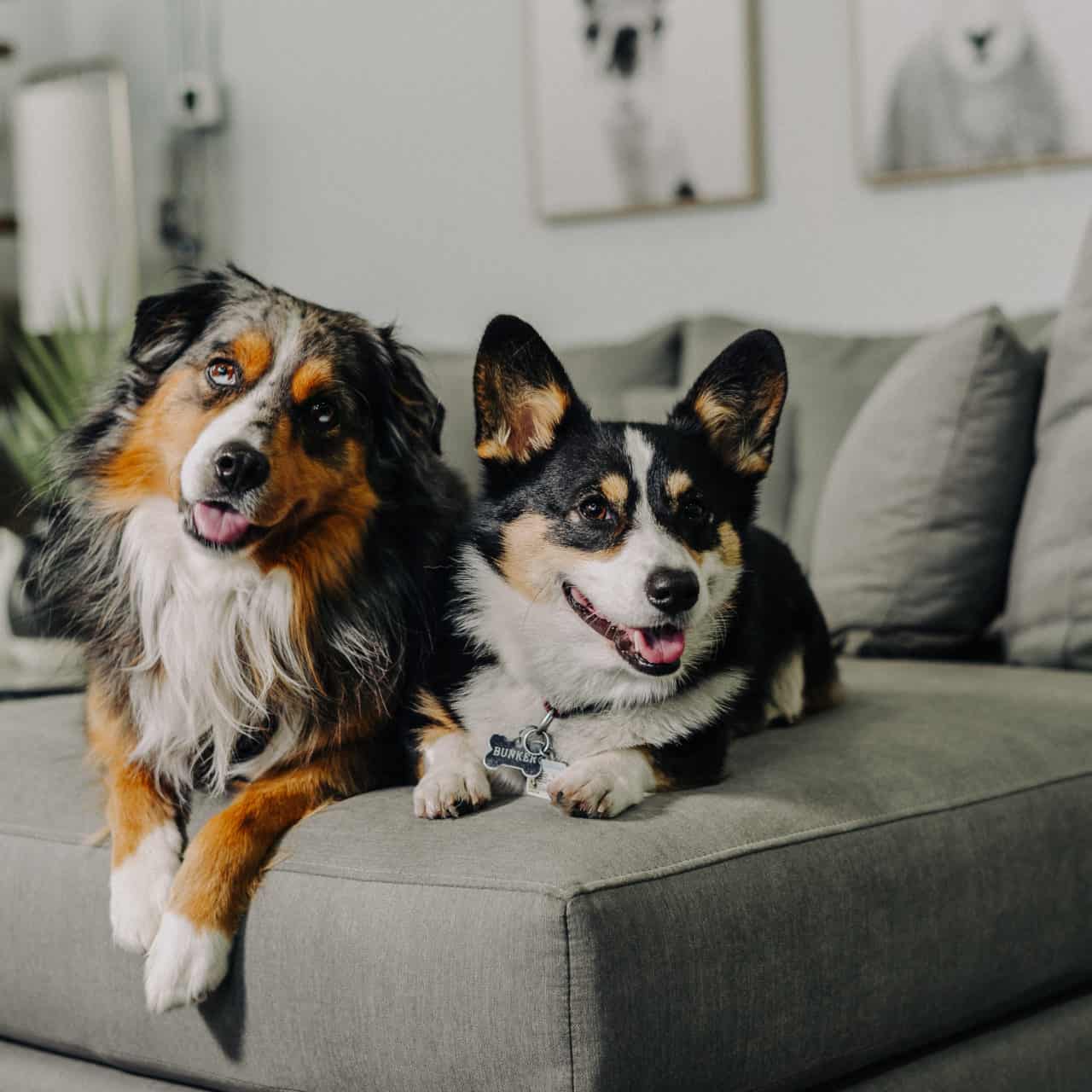 About Q Living Furniture Your Local Furniture Store