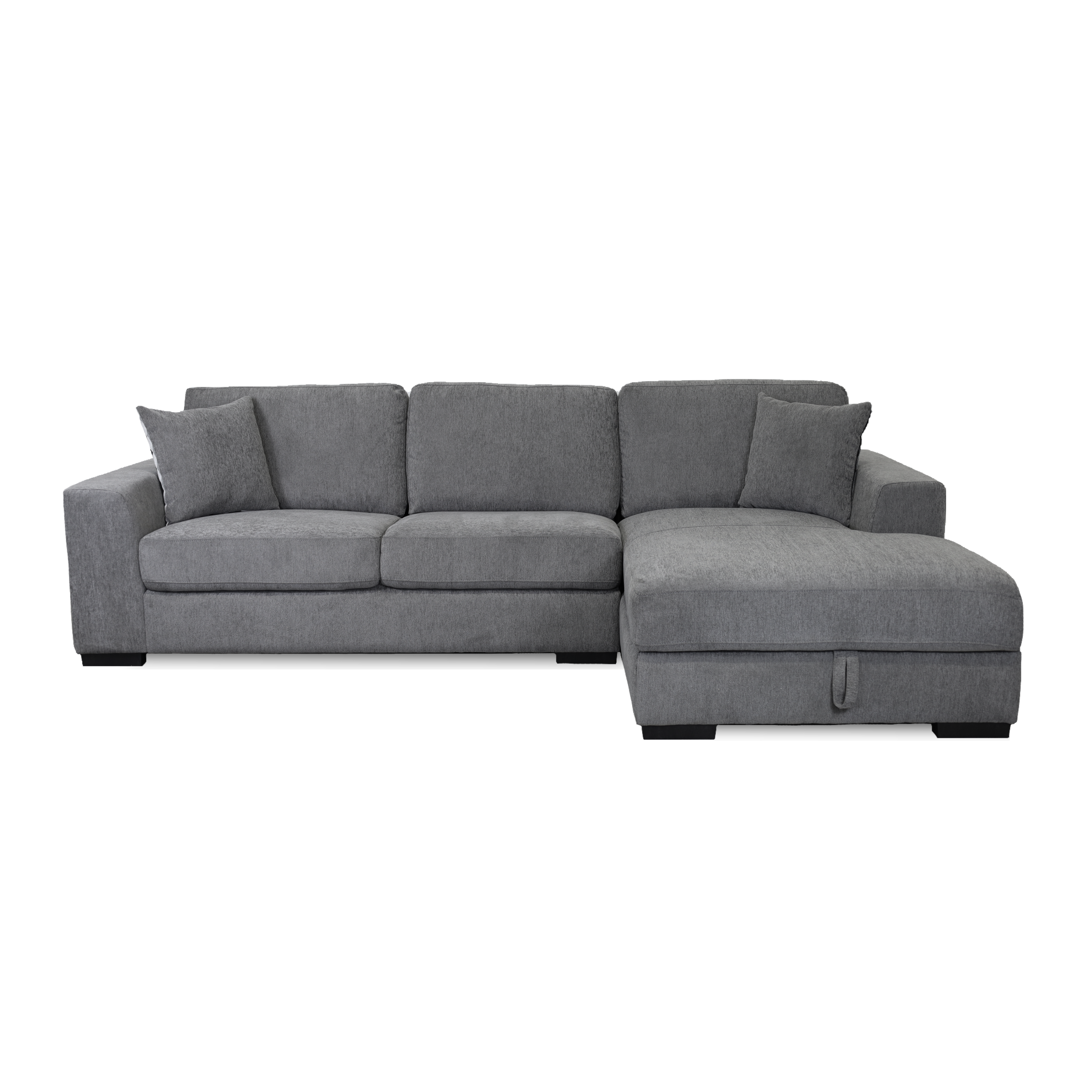 Micaela Sectional With Storage