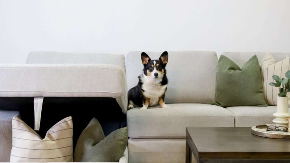 Sofa Bed Solutions with Q Living Furniture