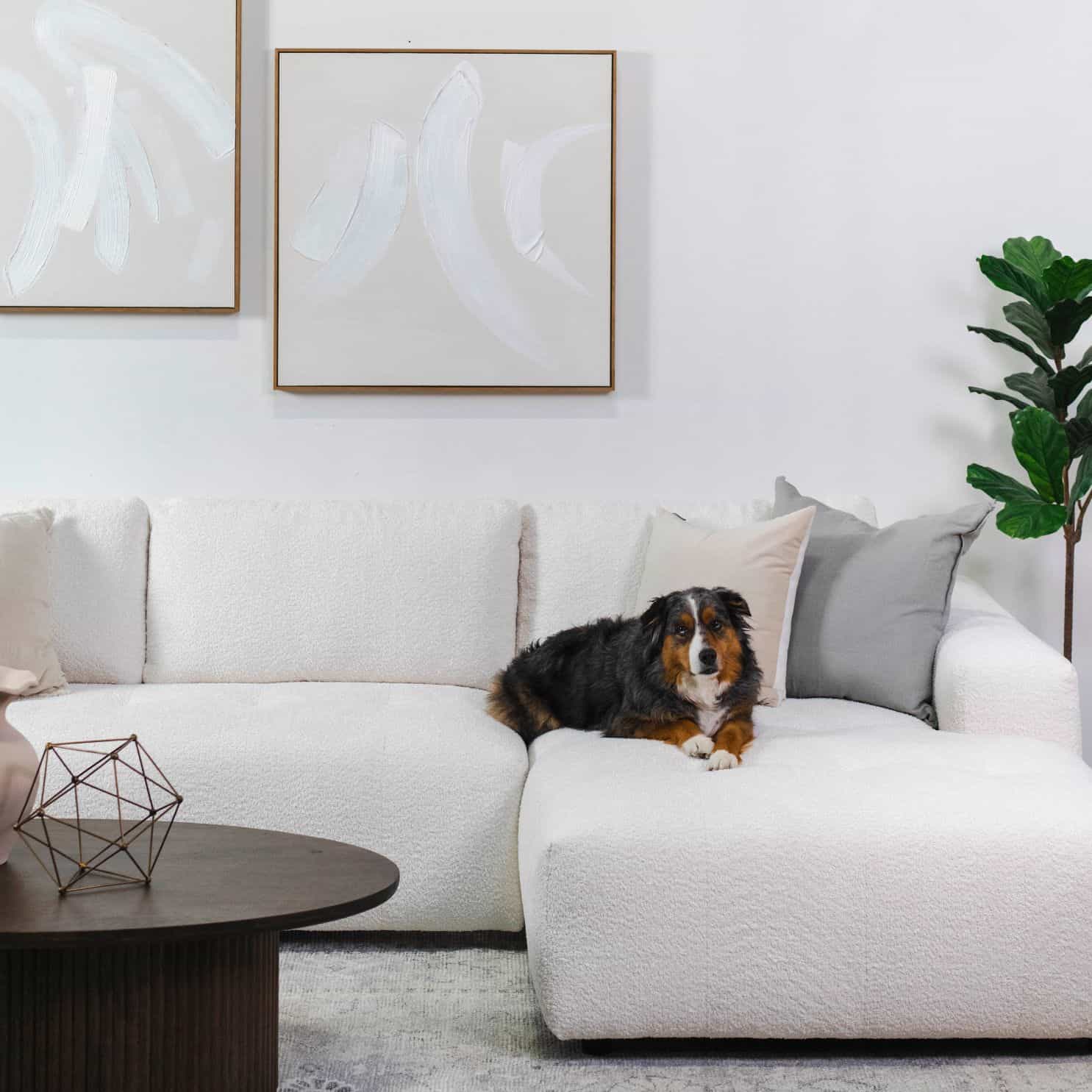 Sofas & Sectionals Category Icon 