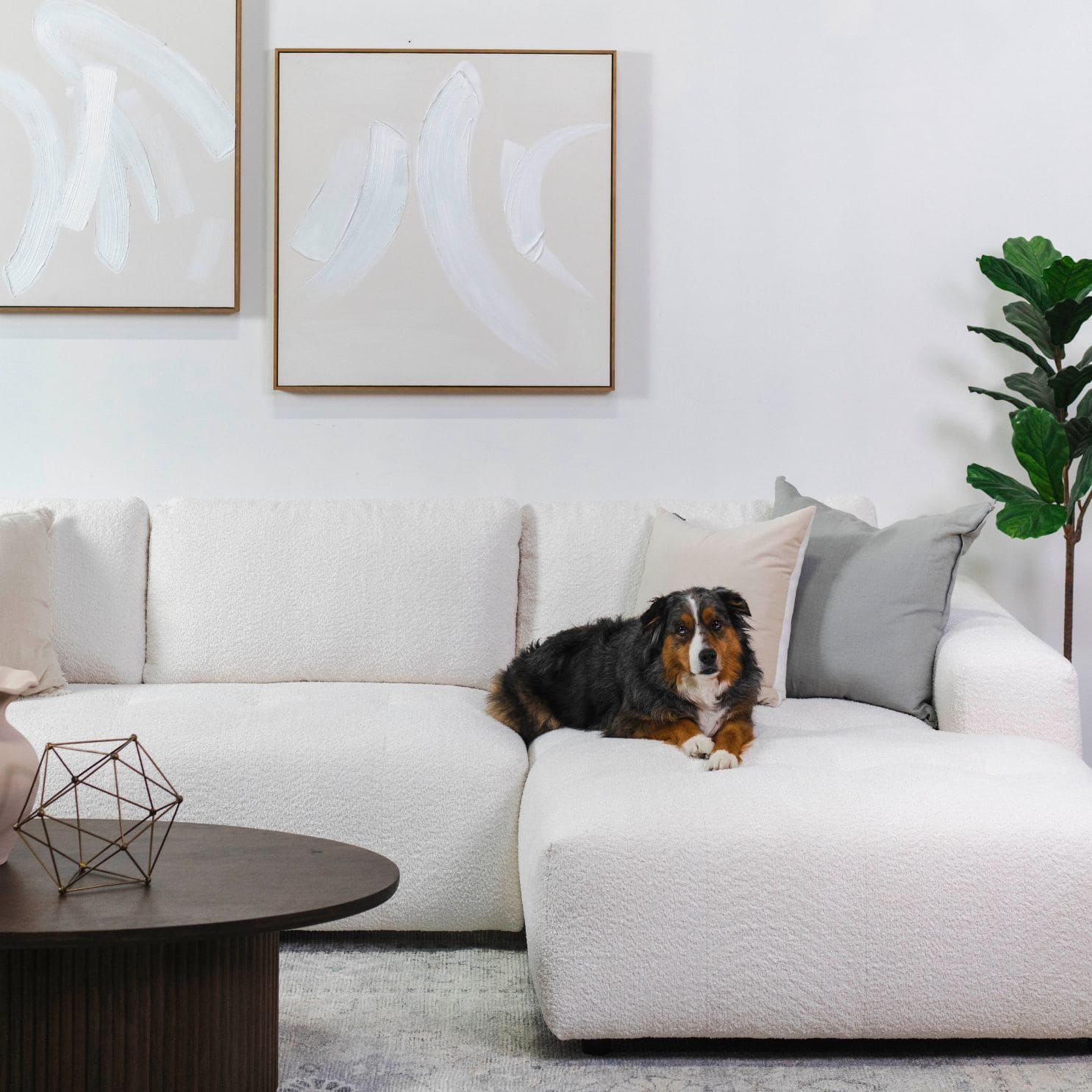 Sofas & Sectionals Category Icon 